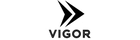 Vigor Store