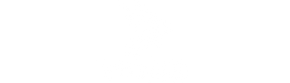 Vigor Store